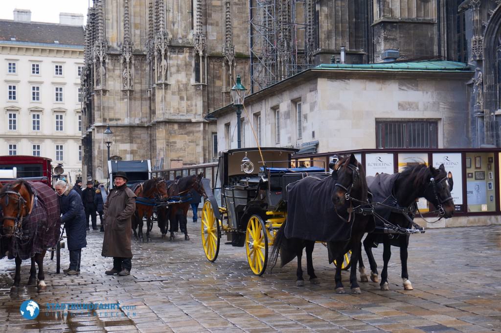 stephansdom0011