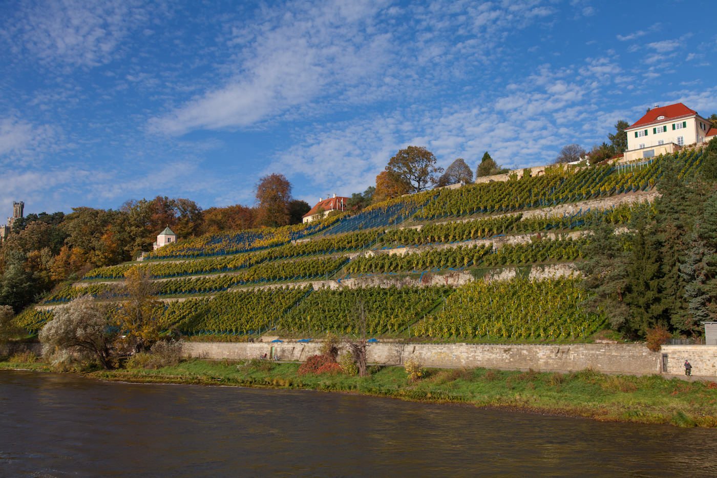 Foto: Shutterstock/Mario Hagen