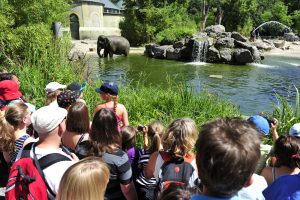 Besucher und Elefanten Hellabrunn  Marc Müller