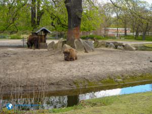 tierparkberlin