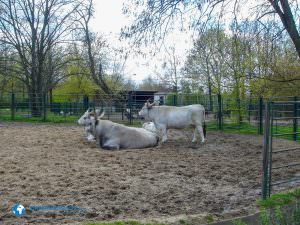 tierparkberlin