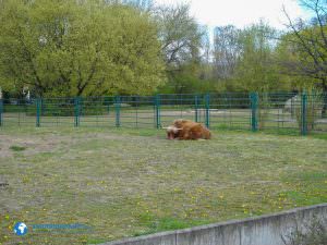 tierparkberlin