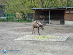 tierparkberlin