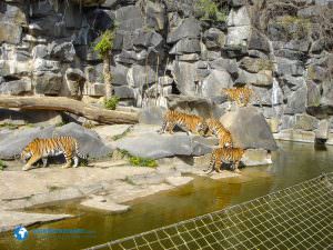 tierparkberlin