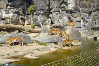 tierparkberlin