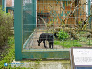 tierparkberlin