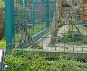 tierparkberlin