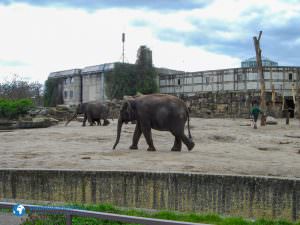 tierparkberlin