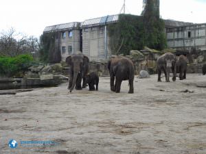 tierparkberlin