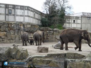 tierparkberlin