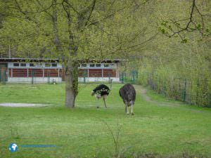 tierparkberlin