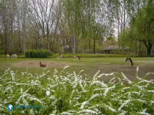 tierparkberlin