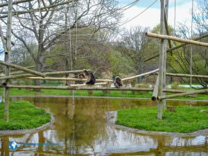 tierparkberlin