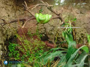 tierparkberlin