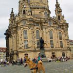 frauenkirche hund