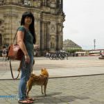 schlossplatz dresden hund