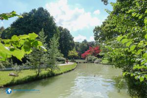 englischergarten