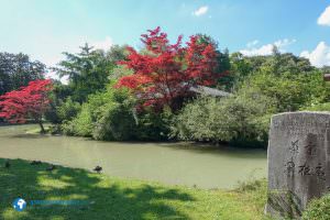 englischergarten