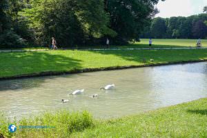 englischergarten