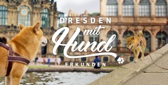 foto dresden hunde