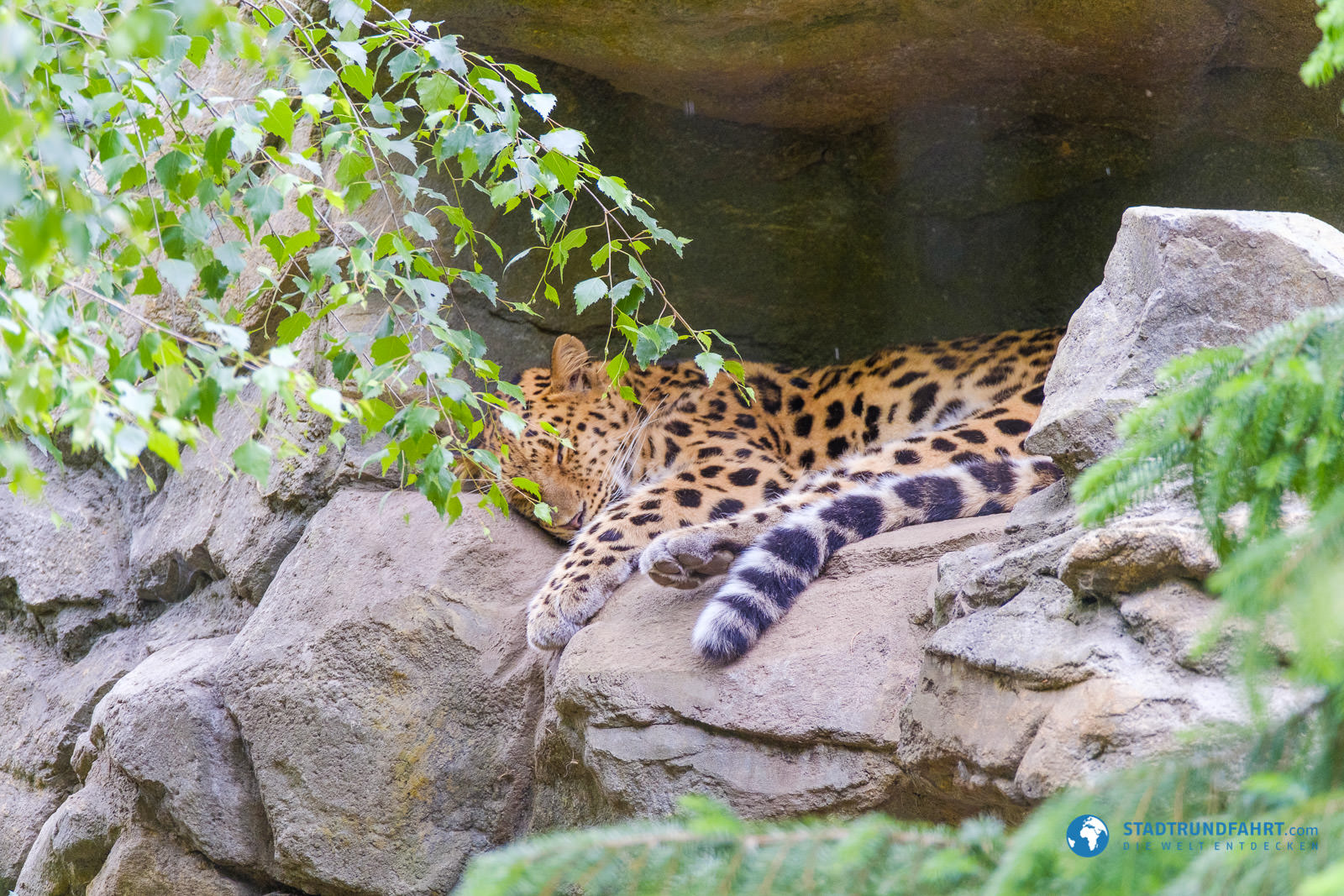 Zoo Leipzig - Tiererlebnis mitten in der Stadt