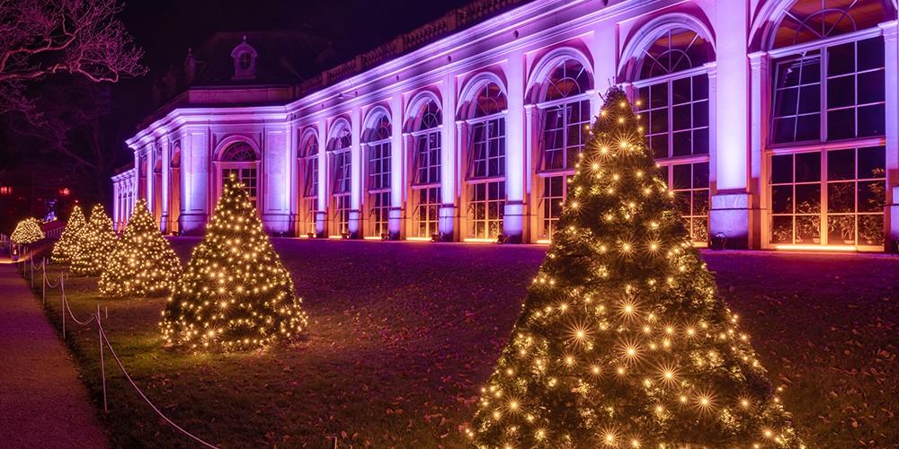 Christmas Garden Dresden: Eintritt Schlosspark Pillnitz & Fahrt im Doppeldecker - Bild 3