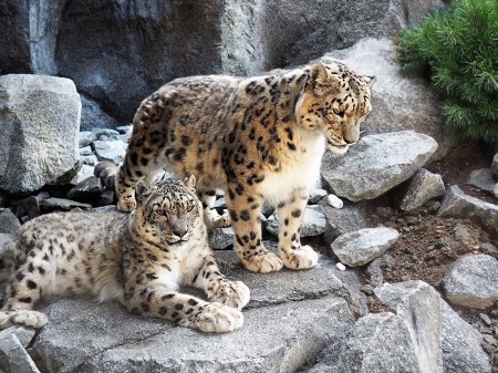 Eintritt Zoo Leipzig 