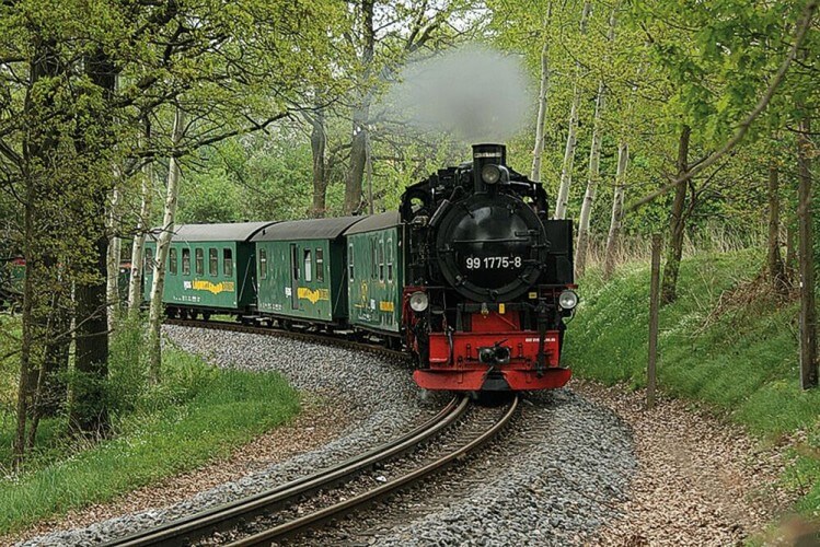 Tagesausflug nach Meißen & Moritzburg (Hin- und Rückfahrt per Bus ab Dresden) - Bild 2