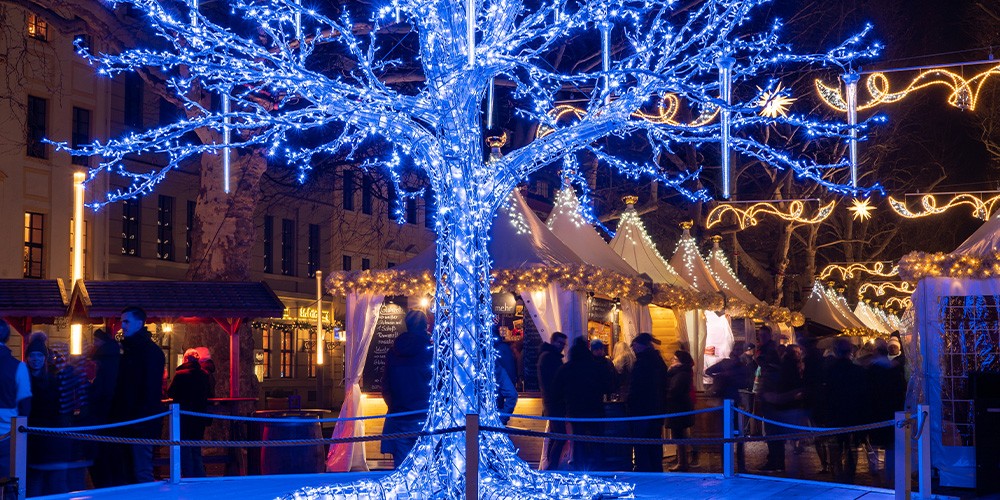 Weihnachtliche Dresdner Neustadt-Tour mit Glühwein - Bild 4