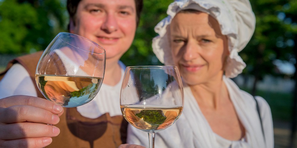 Parkführung Elbschlösser mit Weinverkostung & Große Stadtrundfahrt - Bild 2