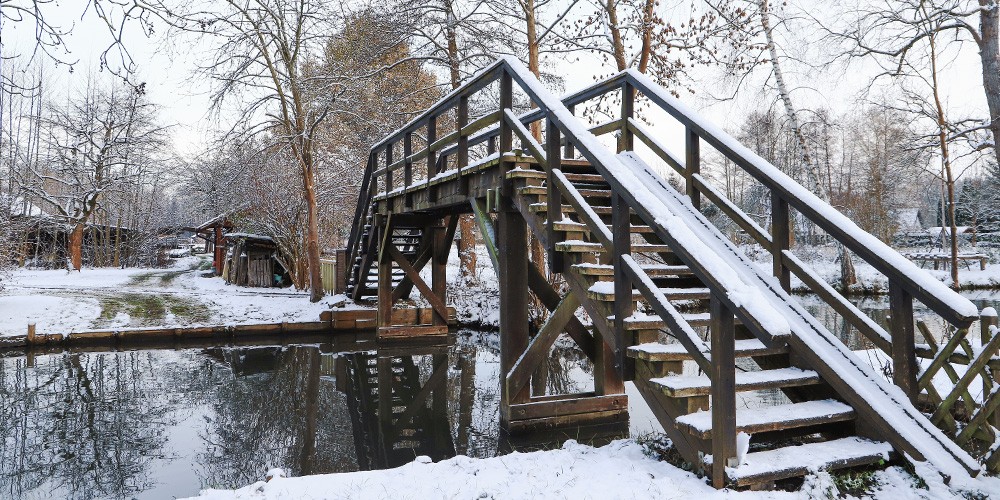 Tagestour von Dresden in den Spreewald - Bild 4