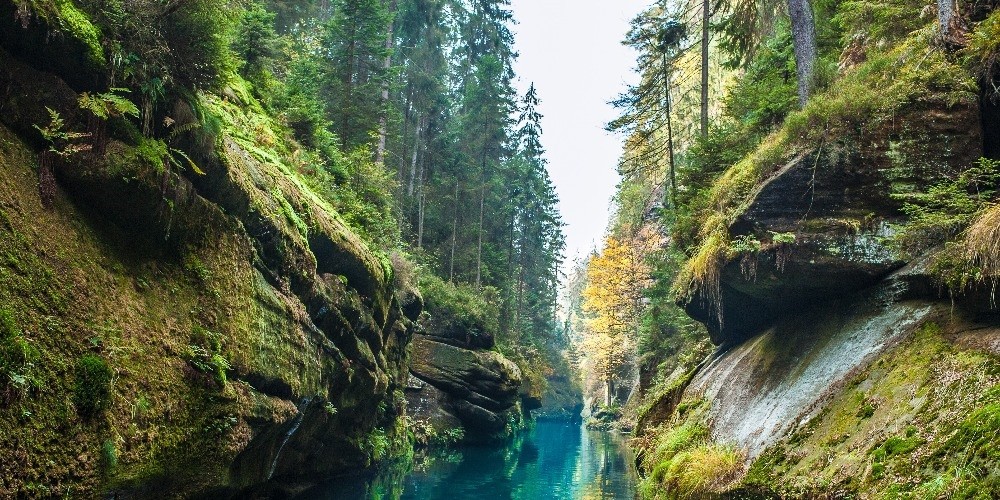 Schrammsteinfahrt - Mit dem Raddampfer entlang der prächtigen Sandsteinformation - Bild 2