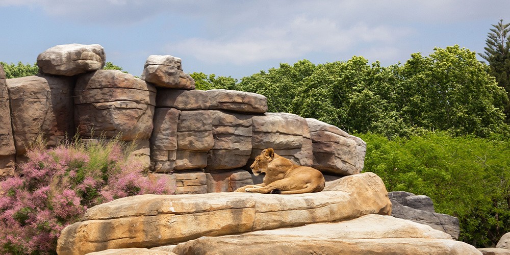 Zoo de Barcelona - Bild 3