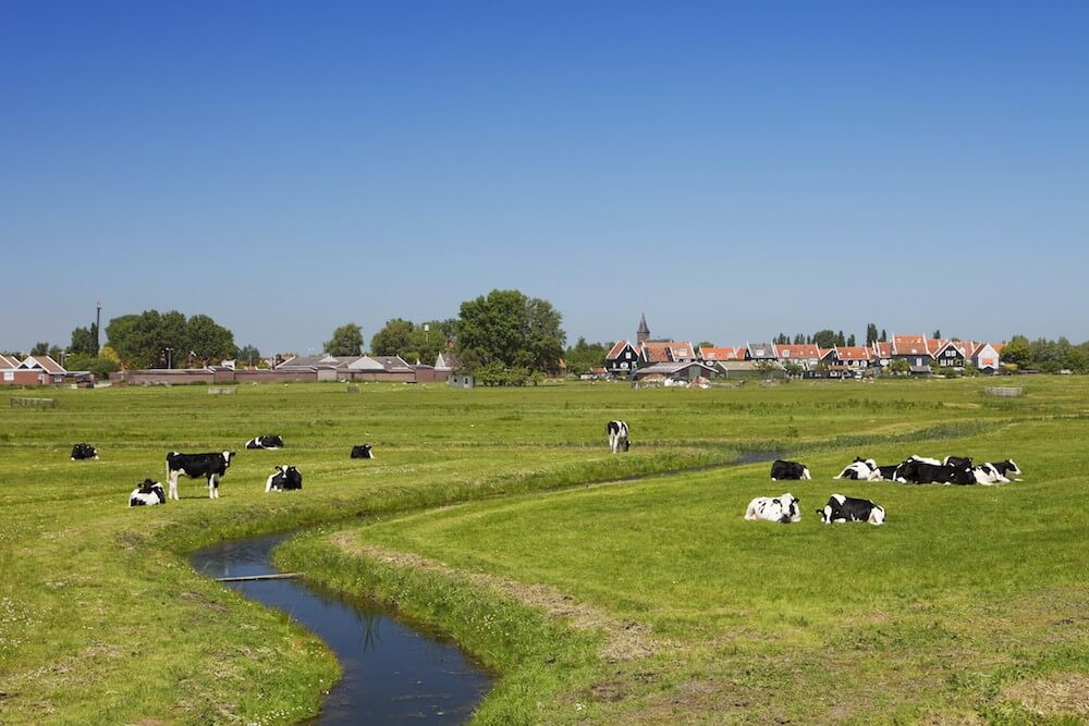 Holland-Tour: Windmühlen, Käsemanufaktur & Holzschuhmacher - Bild 2