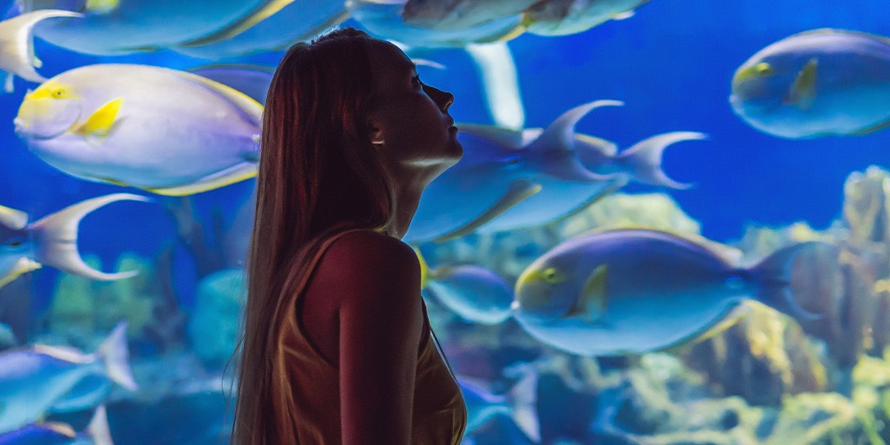 L\'Aquarium de Barcelona - Bild 2
