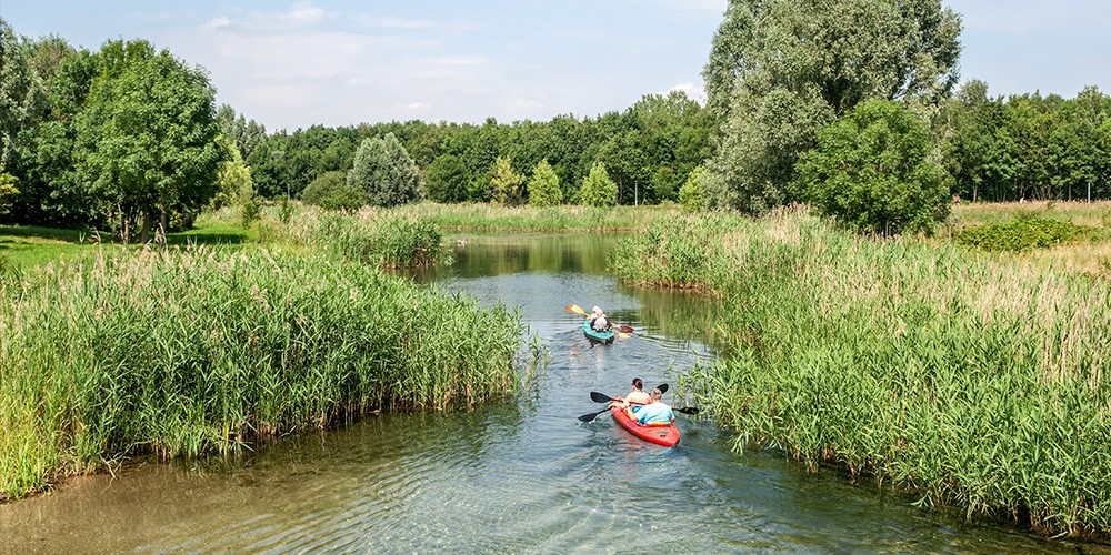 Geführte Kanutour zum Cospudener See - Bild 2