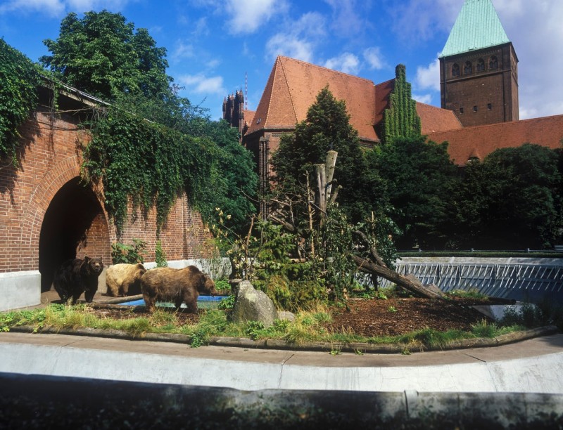 Köllnischer Park, Bärenzwinger