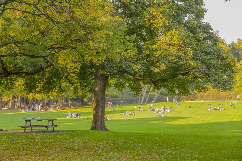 Stadtgarten