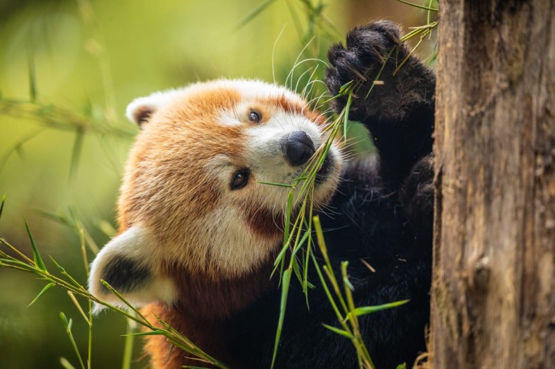 Tierpark Berlin - Friedrichsfelde