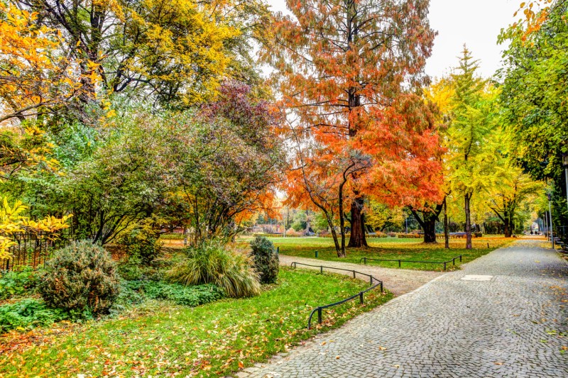 Alter Botanischer Garten