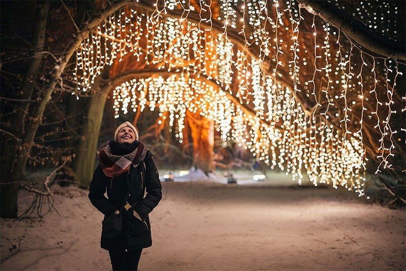 Christmas Garden Dresden