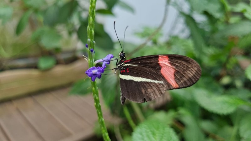 Biosphäre Potsdam