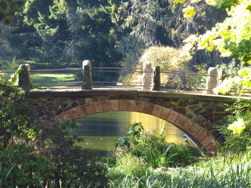 Botanischer Volkspark Blankenfelde-Pankow