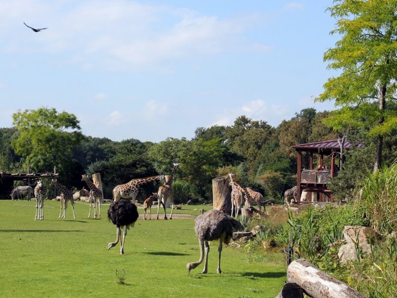 Zoo Leipzig